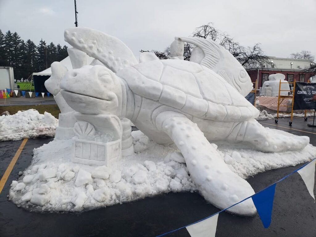 FB_IMG_1736368460214